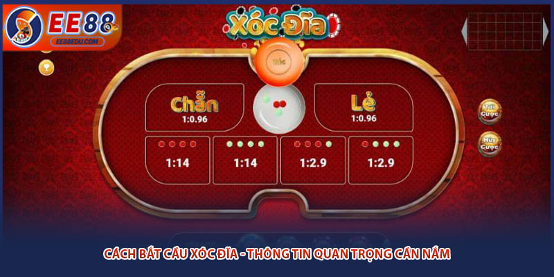 Cách Bắt Cầu Xóc Đĩa - Thông Tin Quan Trọng Cần Nắm